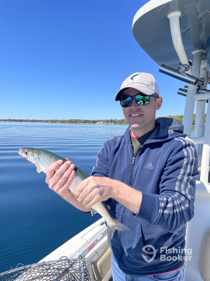 Traverse City Report Photo 0