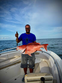 Full sized opening day snapper  