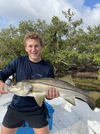 Holiday Report Photo 2