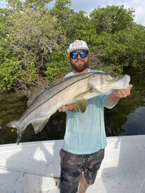 Holiday Report Photo 1