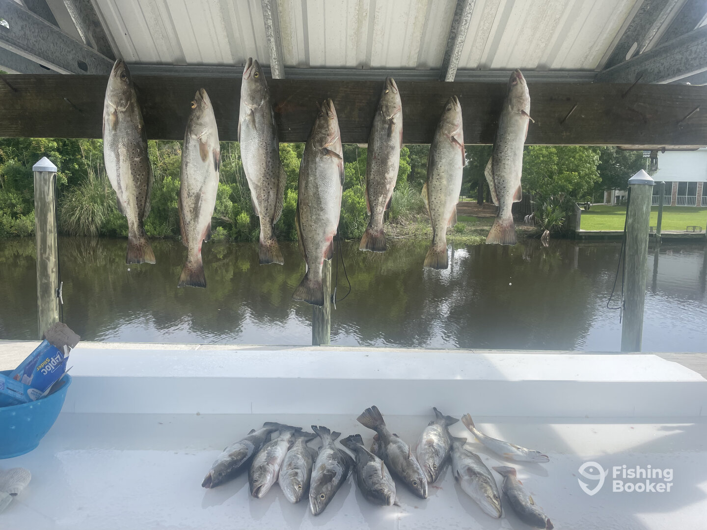 Bay St Louis Report Photo 0