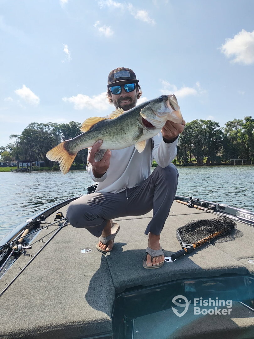 Winter Garden Report Photo 0