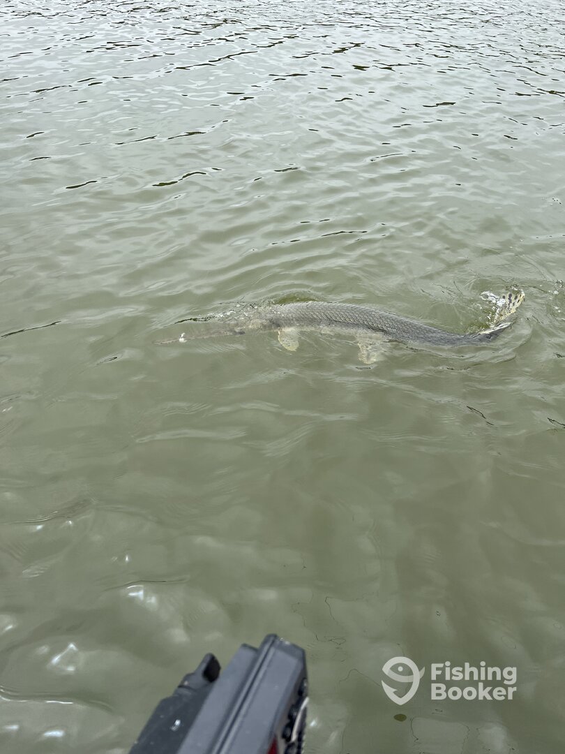 Middle Valley Report Photo 0