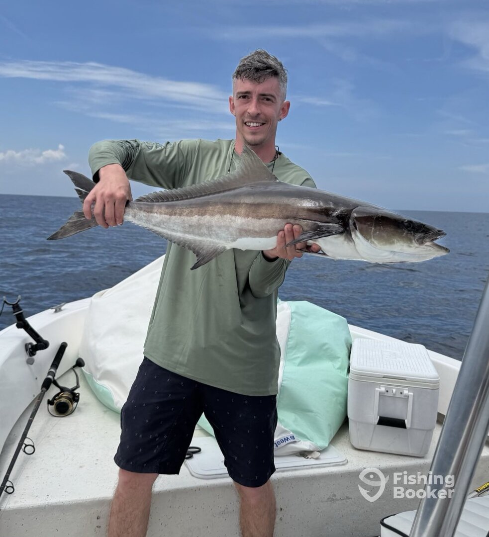 Jacksonville Report Photo 0