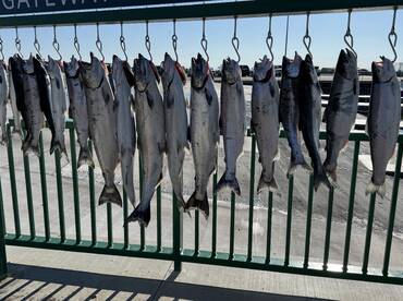 Memorial Day Weekend Madness!