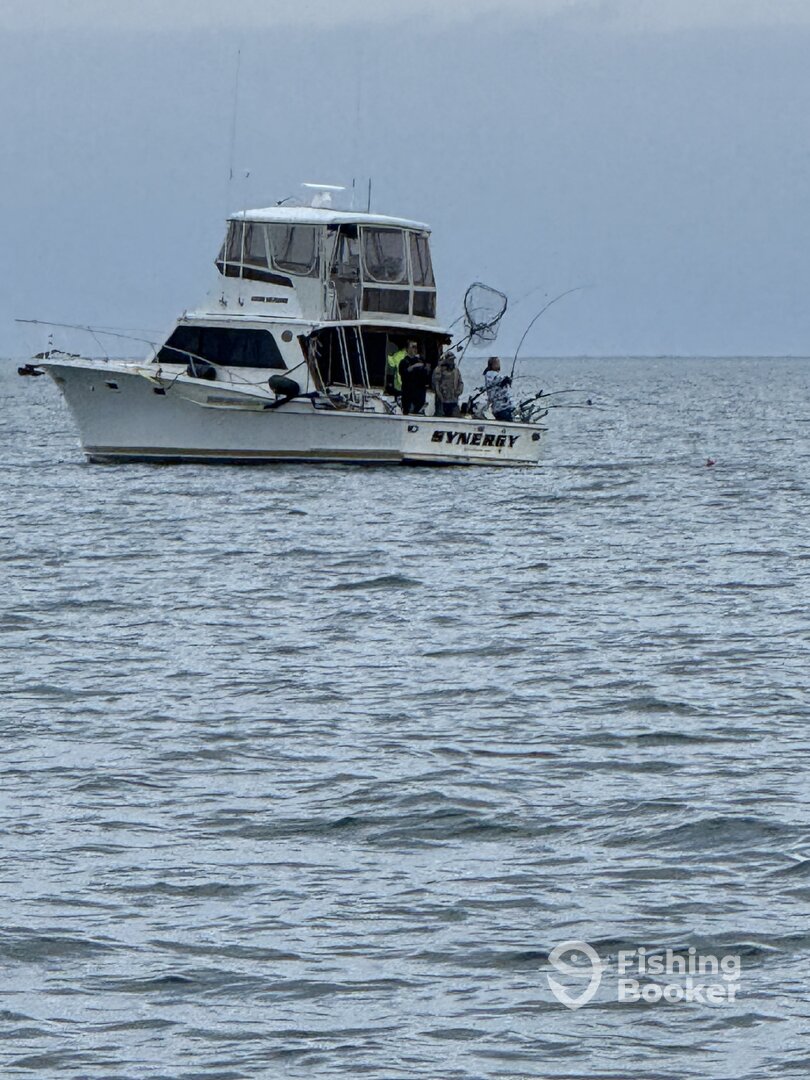 Olcott Report Photo 0