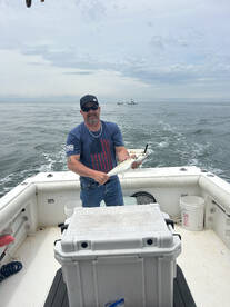 Hampton Report Photo 1