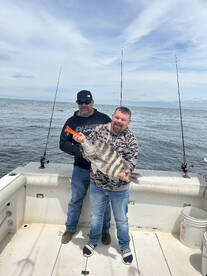 Hampton Report Photo 2