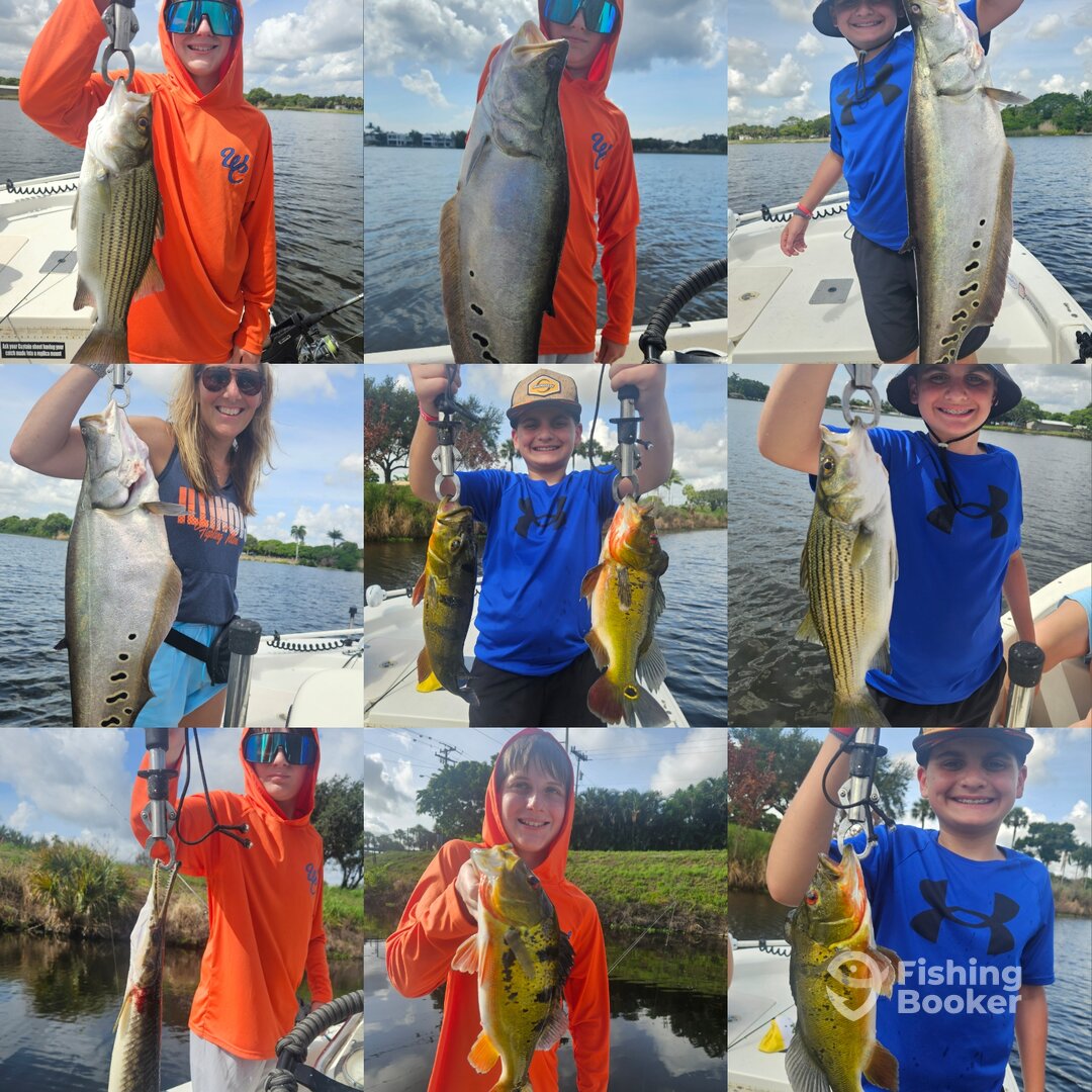 Delray Beach Report Photo 0