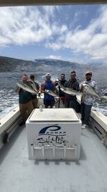 Huntington Beach Report Photo 1