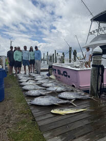 Nags Head Report Photo 2