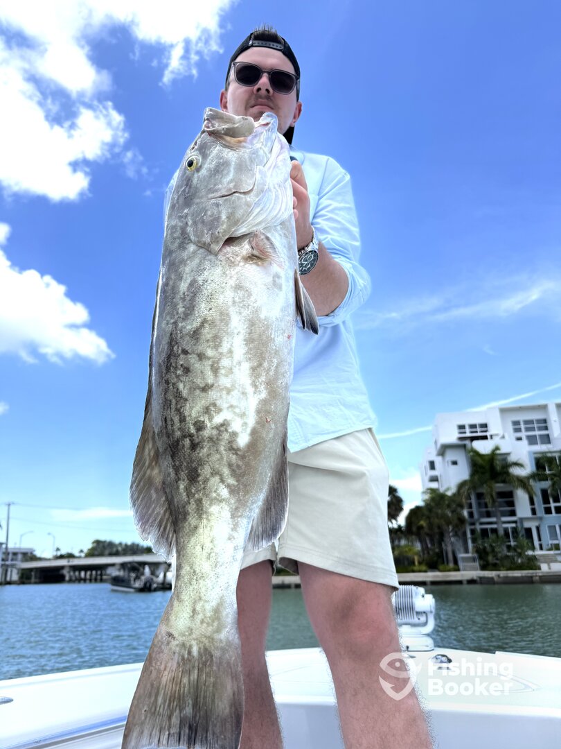 Miami Beach Report Photo 0