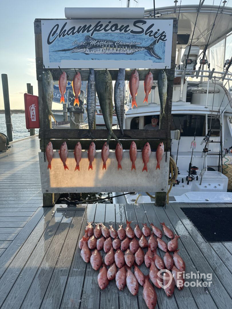 Destin Report Photo 0