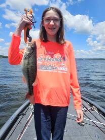 Branson Report Photo 1