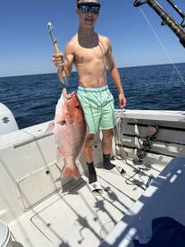 Red Snapper 