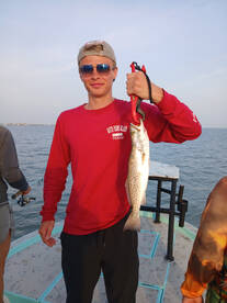 Montana newcomers to SPI