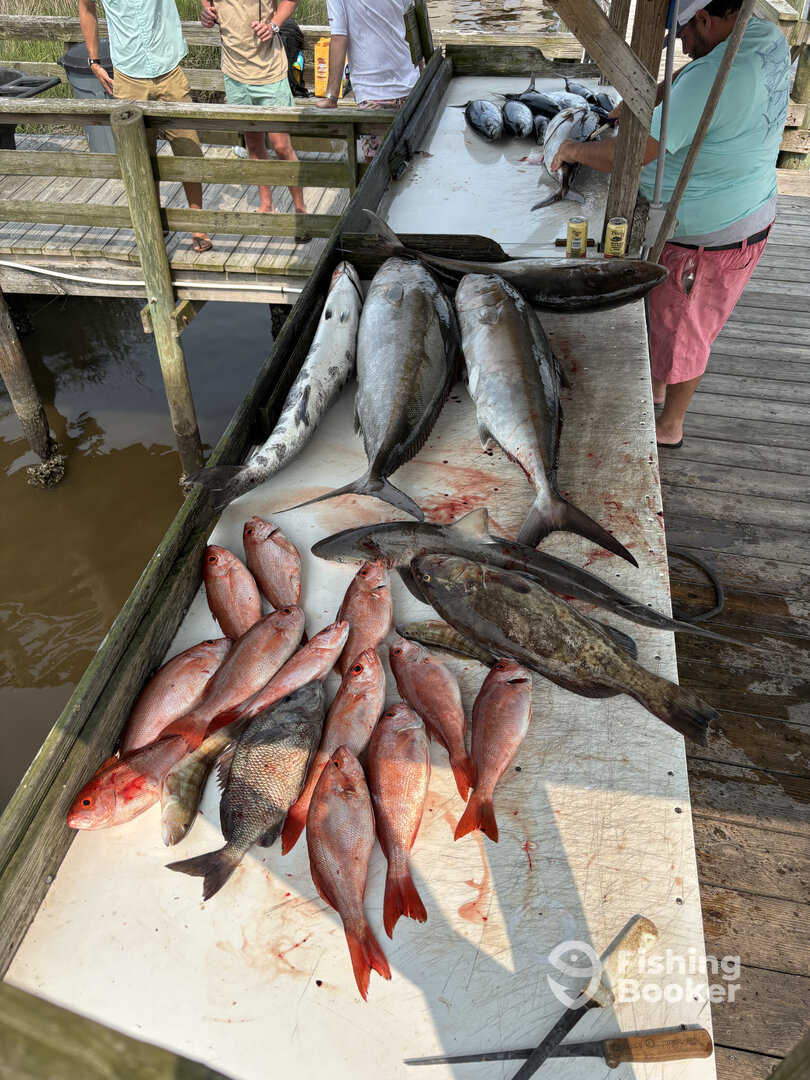 Calabash Report Photo 0