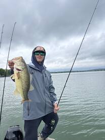 Rochester Report Photo 2