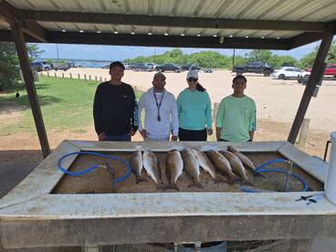 San Antonio Report Photo 1