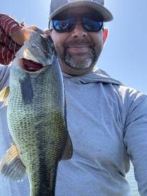 Summertime Catchin’ on the Dirty D