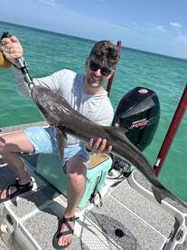 Tampa Report Photo 1