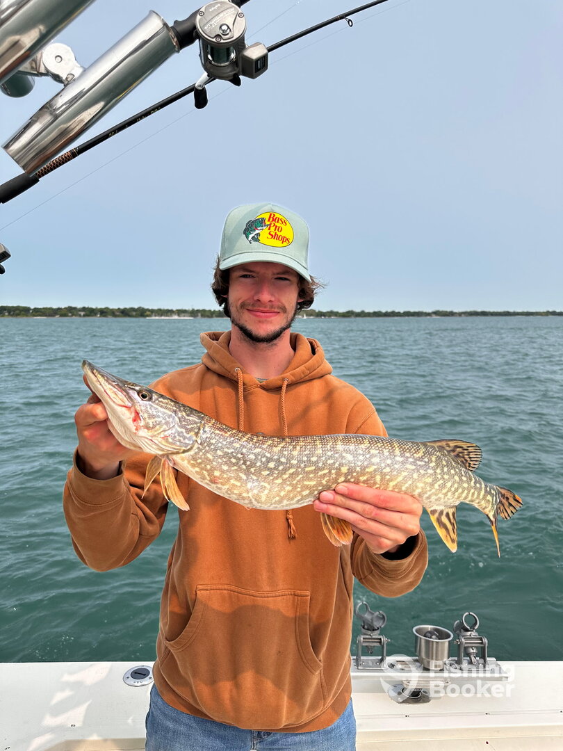 St. Clair Shores Report Photo 0