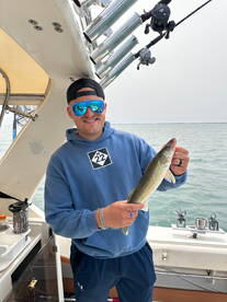 St. Clair Shores Report Photo 2