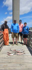 Manteo Report Photo 1