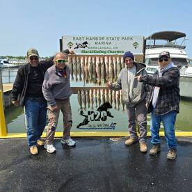 Full Pull of Lake Erie Walleye 
