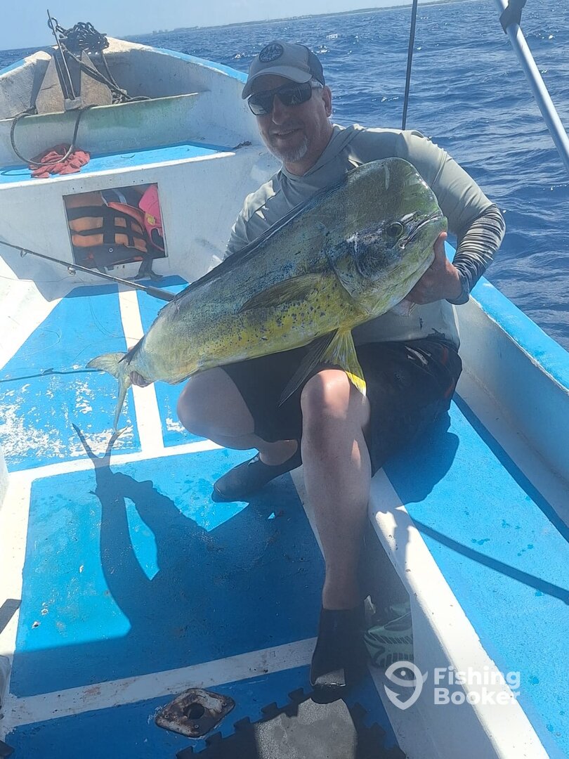 Playa Del Carmen Report Photo 0