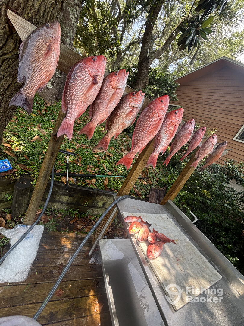 Fort Walton Beach Report Photo 0