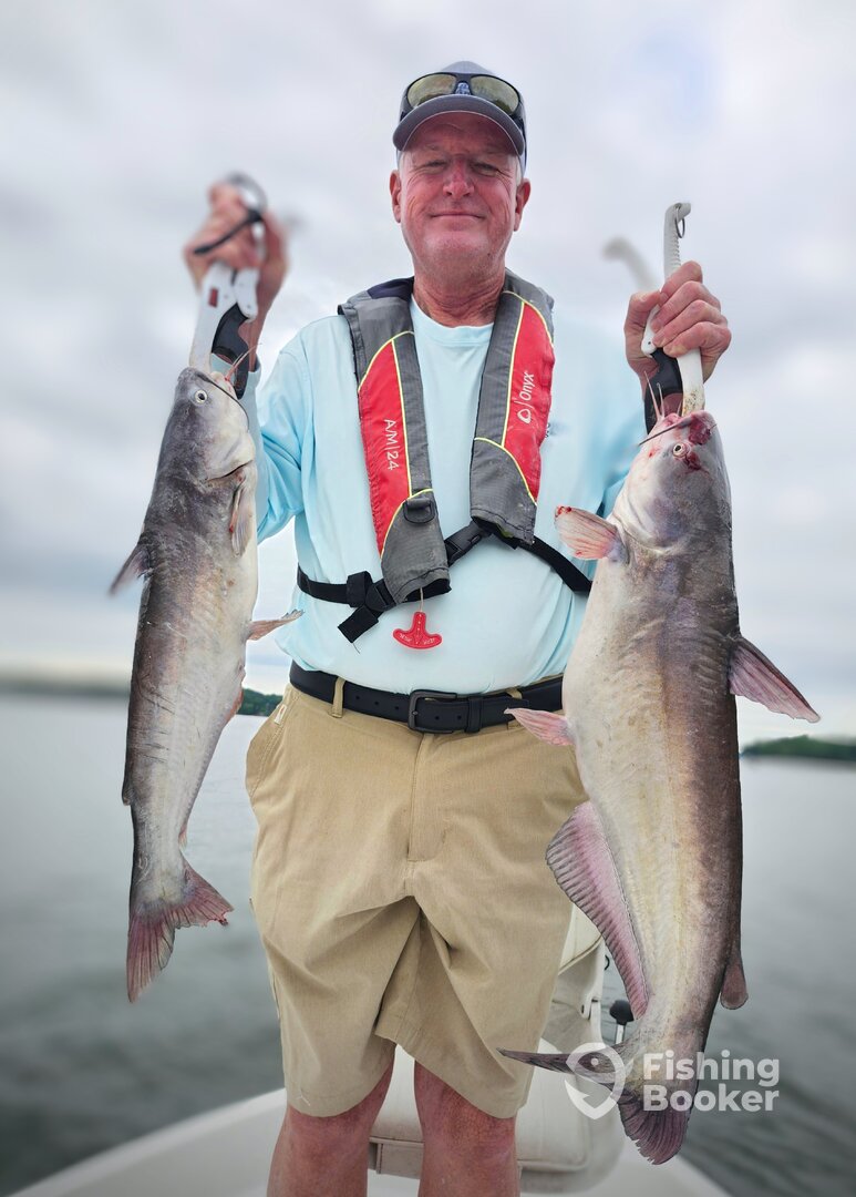 Clover Report Photo 0