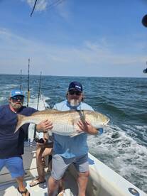 Red Drum fishing is heating up!