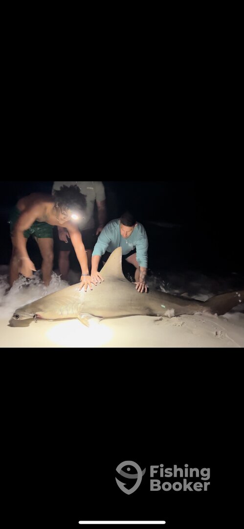 Destin Report Photo 0