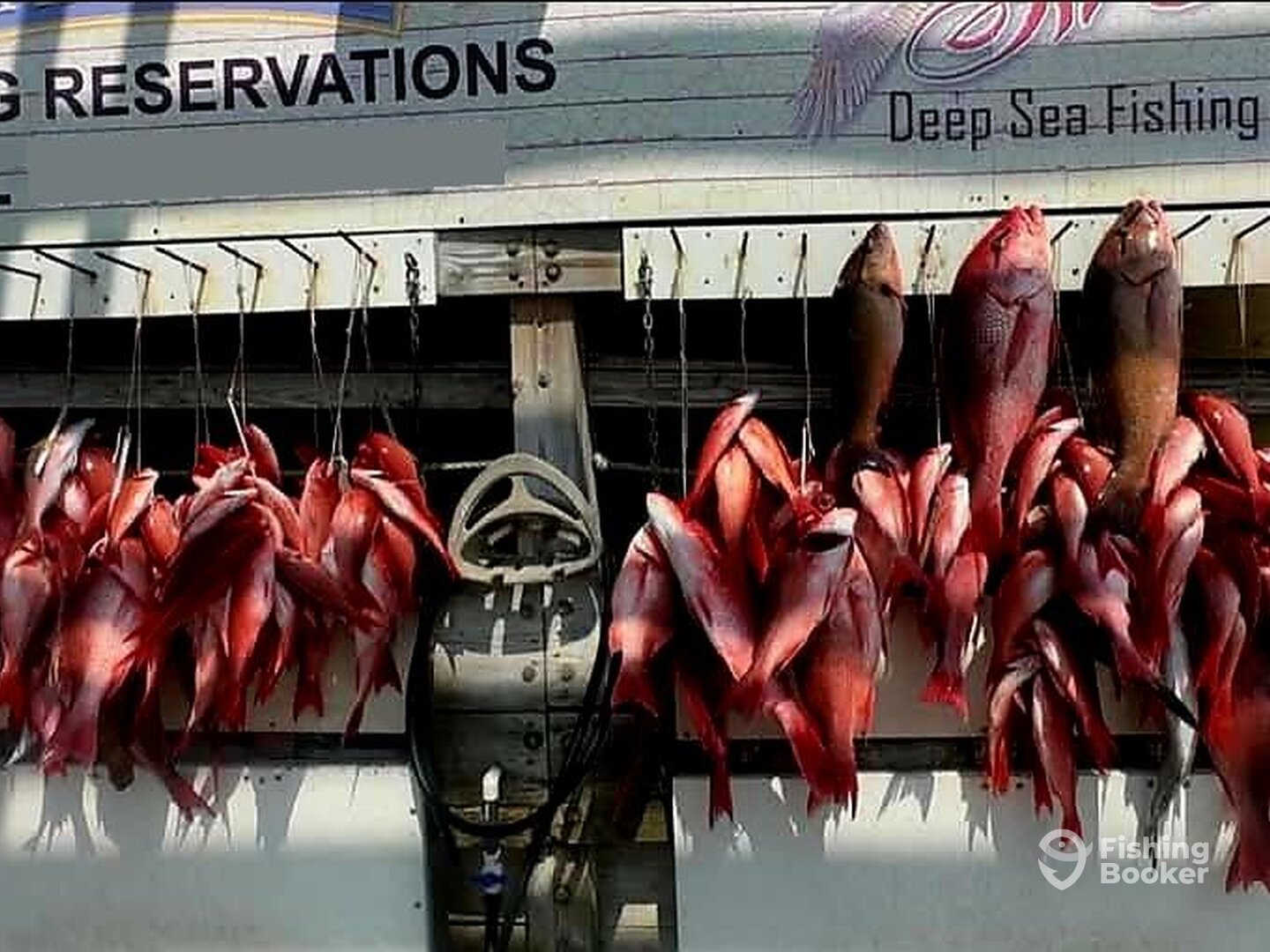 Destin Report Photo 0