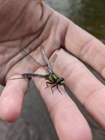 Richland Report Photo 2