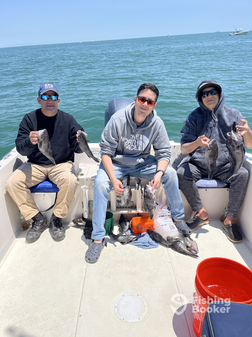 Highlands Report Photo 0