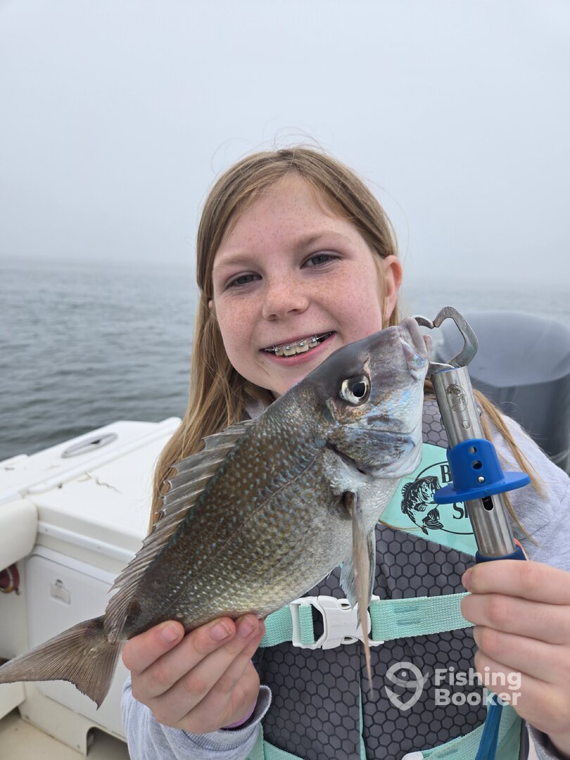 Waterford Report Photo 0