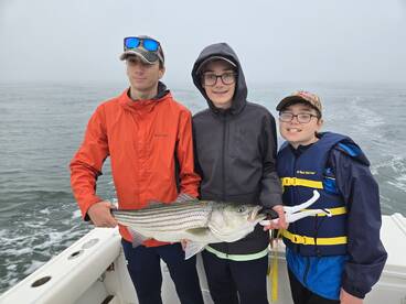 Waterford Report Photo 1