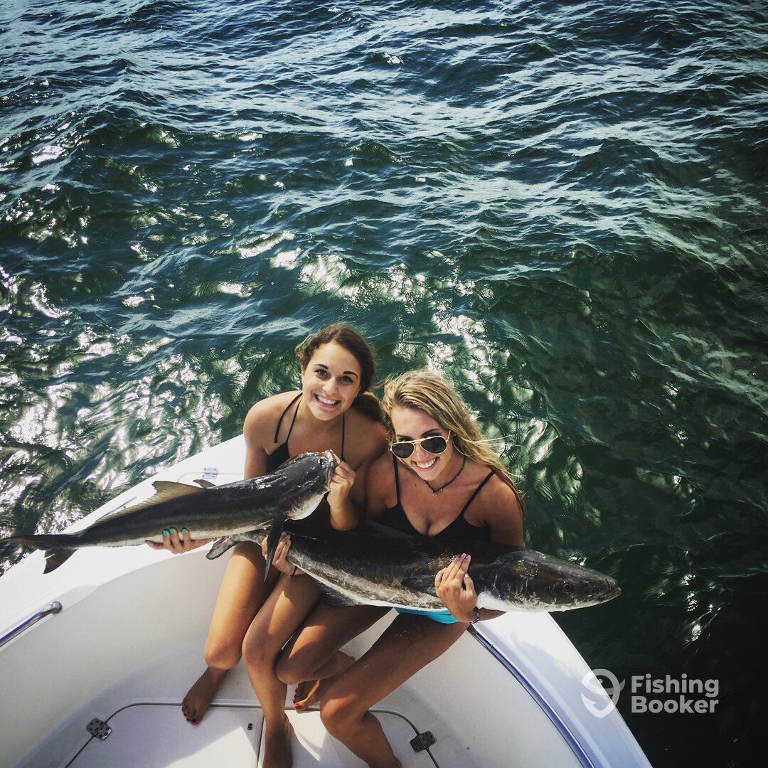 Virginia Beach Report Photo 0