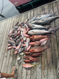 Carolina Beach Report Photo 2