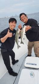 Pasadena Report Photo 2