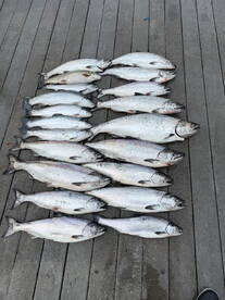 Fishing is fantastic!!!!