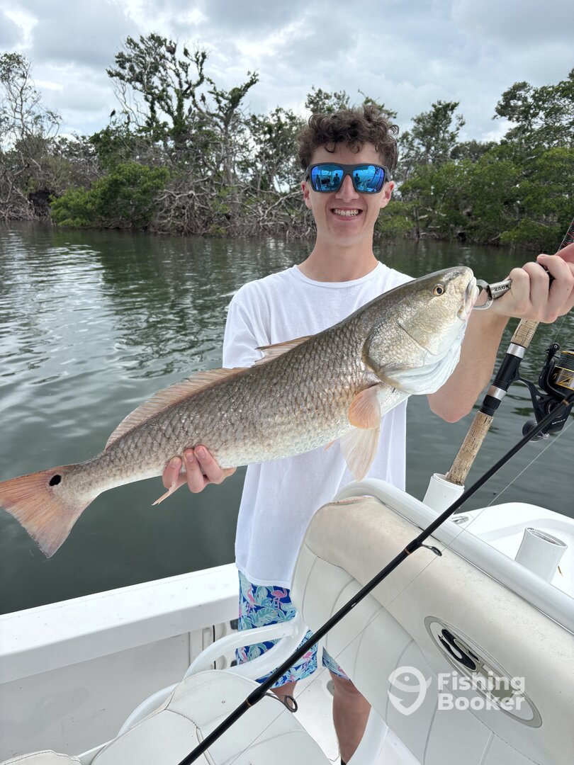 St. Petersburg Report Photo 0