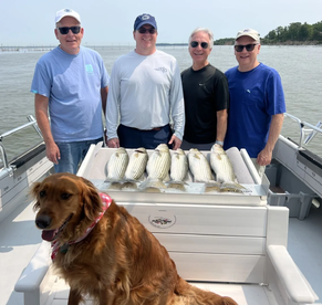 Rock Hall Report Photo 2