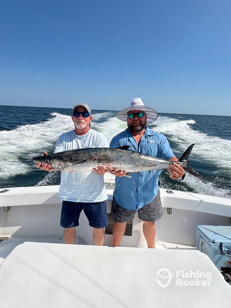 Orange Beach Report Photo 0