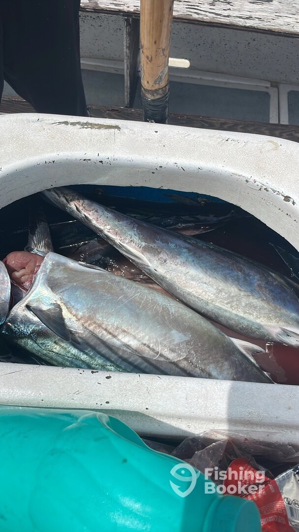 Ensenada Report Photo 0