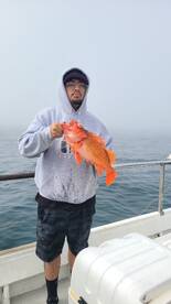 Buen dia de pescado de fondo!!