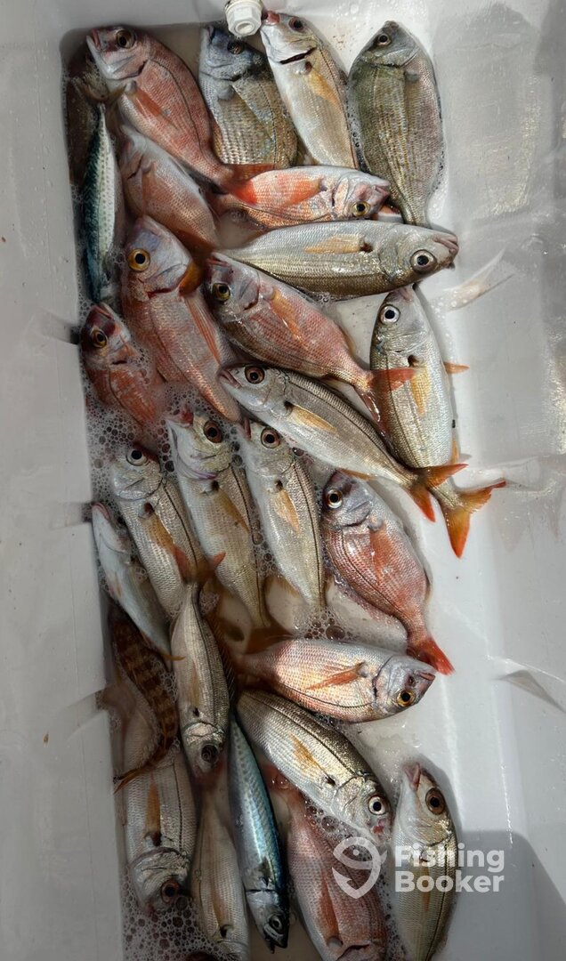 Barcelona Report Photo 0