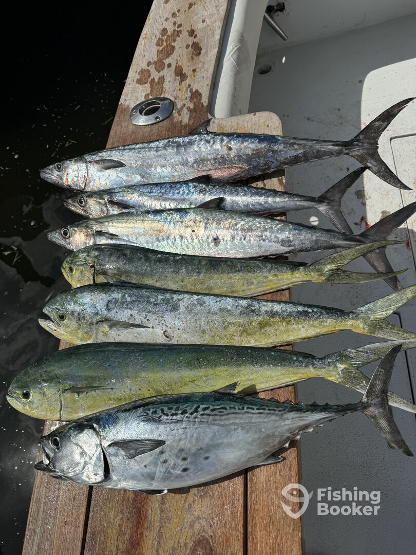 Pompano Beach Report Photo 0